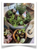 garden planter with gnomes