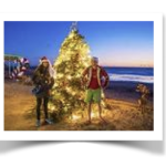 Christmas tree on the beach