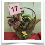 Valentine Container Garden Auction planter I watched the sun set on the solstice in Santa Fe, NM, seated under bare cottonwoods, their upper branches catching the last red light long after the sun had slid from view, cutting snowflakes from tissue paper, catching up with my big sister, and finding slivers of joy during an odd Christmas. I&rsquo;m excited to leave 2025 behind and stride into 2026. I am also eager for all of you to participate in the Valentine Extravaganza, the little sister of fundraisers! Bring a friend! Bring a container to buy plants, boutique items, and raffle tickets. Please bring your favorite thing about the garden club and share it! I&rsquo;m convinced we can grow the Valentine Extravaganza into a community event as well-known as the Gate & Garden Tour. Our fortunate location in downtown Laguna creates the opportunity to invite the public to learn about the projects we support, the speakers we present, and all our activities. Plus, it gives them a chance to spend their money. Introduce a friend or neighbor to the garden club at the February 13 meeting. The main event is a silent auction of container gardens donated by club members. All sizes and shapes are welcome, from joyful little pops of color to lush, elegant masterpieces, quirky containers paired with plant oddities, to serene monocultures. The internet is awash with brilliant ideas for container gardens. I&rsquo;m eager to see what you create! Remember to drop off your gently used treasures for the boutique so we can store them for you. Declutter, regift, and let go! Step into the New Year with confidence!