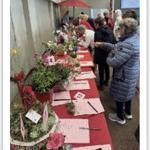 Valentine Container Garden Auction