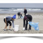 people picking up trash on the beach