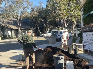 LBGC team works on mulching the rose garden.