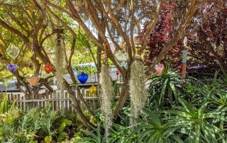 2021 Gate &#038; Garden Tour &#8211; #2 &#8220;Johnny&#8217;s Garden&#8221;