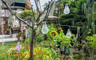 Tree with hanging bulbs at the 2021 Gate & Garden Tour.