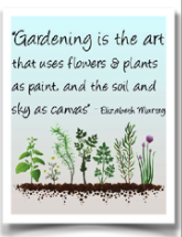 Image of plants in a garden with caption, "Gardening is the art that uses flowers and plants as paint, and the soil and sky as canvas" by Elizabeth Murray