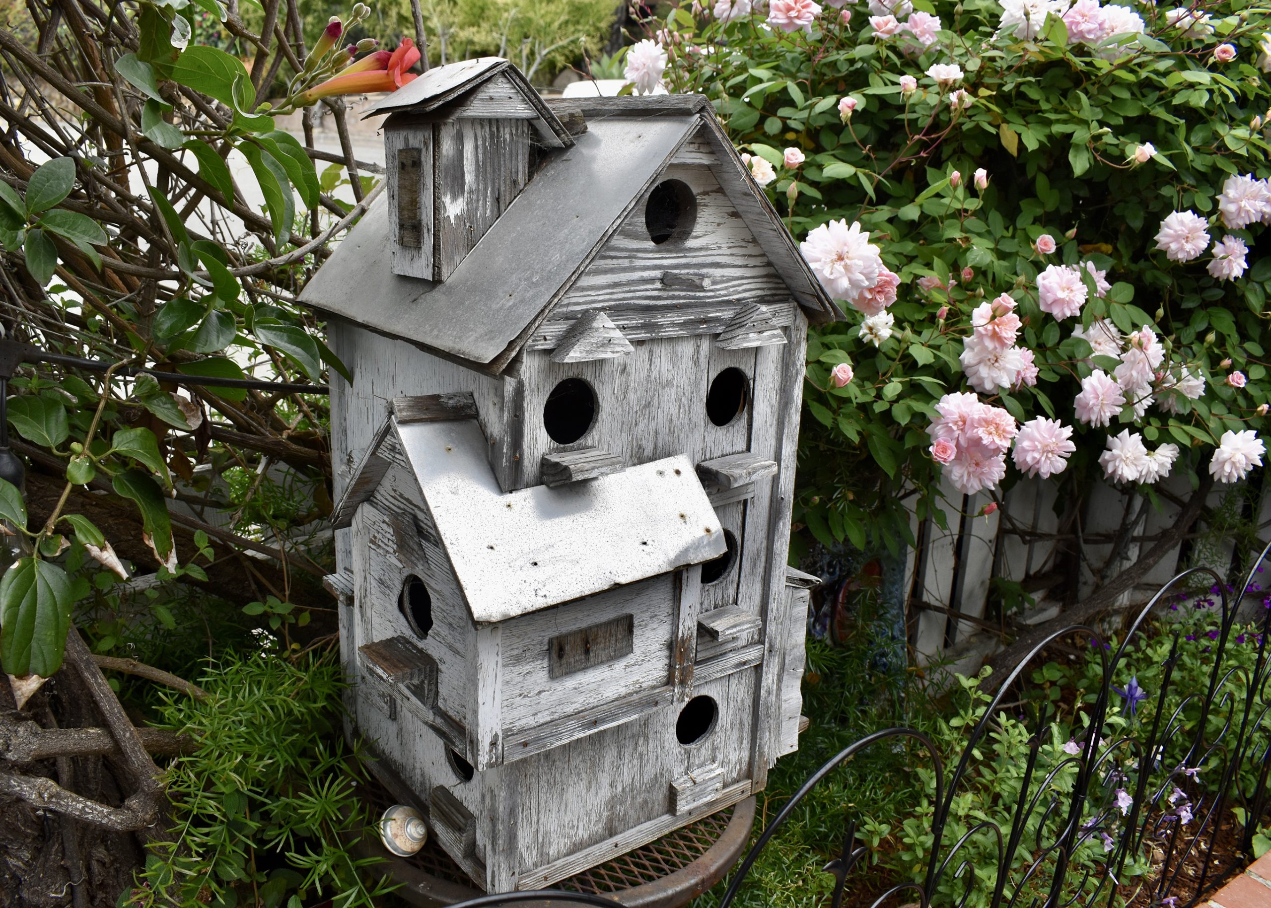 Bird house and pink roses