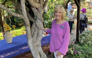 Visitors to Sue South's Open Garden