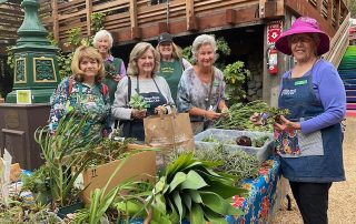 Club members give away plant cuttinga at Green Day at the Sawdust Festival