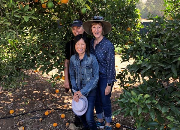 laguna-beach-garden-club-membership-renewal