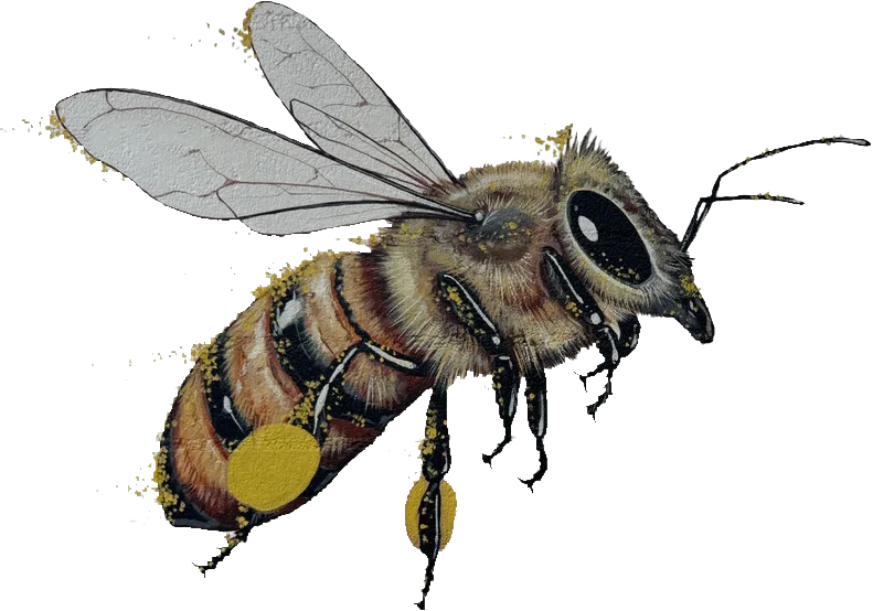 bee