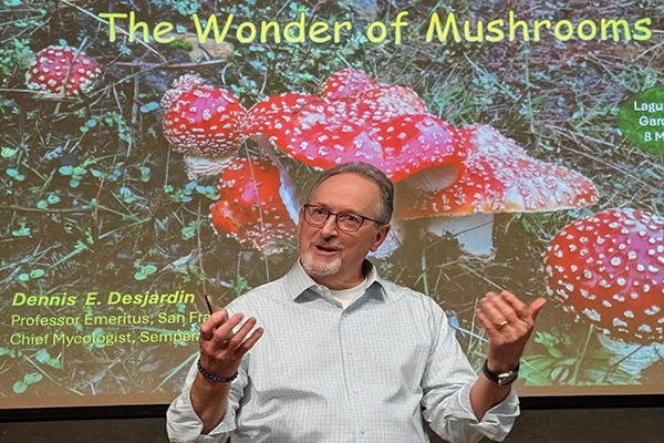 desjardin-talk May 2026 Speaker Dennis Desjardin