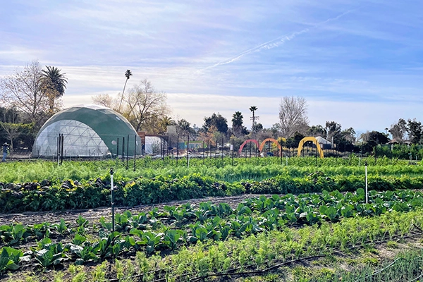 Fields at the Ecology Center SJC